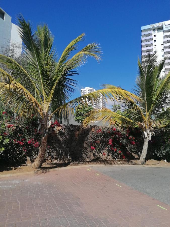Del Sur Apartamento Playa Paraíso